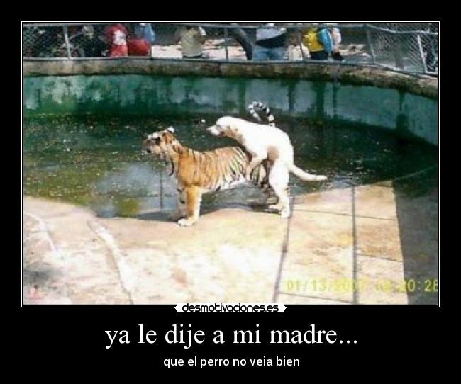 carteles madre wwwdesmotivacioneses desmotivaciones