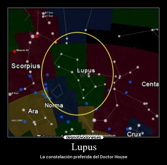 Lupus - La constelación preferida del Doctor House