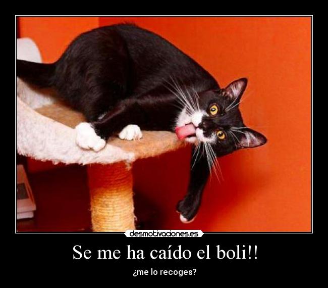 Se me ha caído el boli!! - 