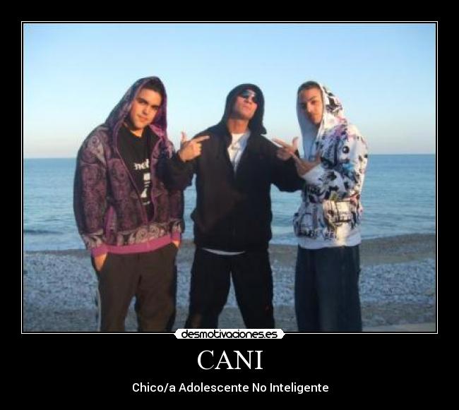 CANI - Chico/a Adolescente No Inteligente