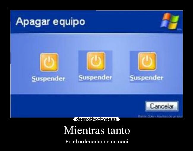 Mientras tanto - En el ordenador de un cani