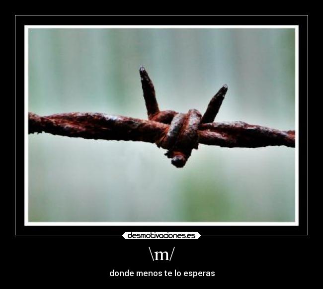 \m/ - donde menos te lo esperas