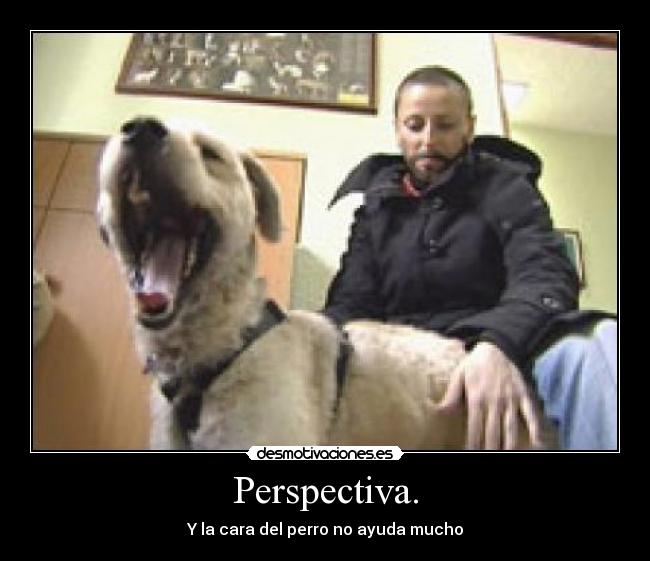 Perspectiva. -