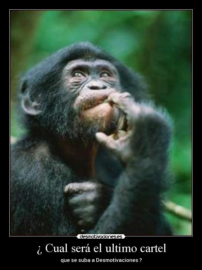 ¿ Cual será el ultimo cartel -