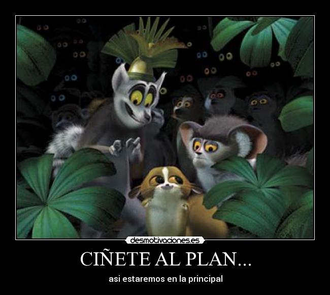 CIÑETE AL PLAN... -