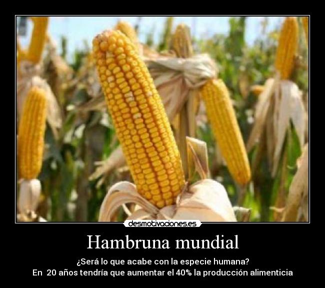 Hambruna mundial -