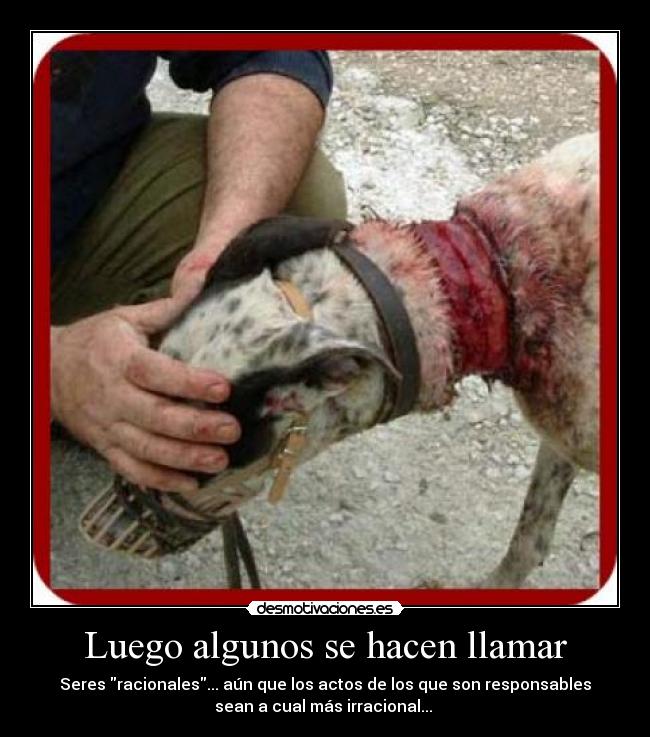 Luego algunos se hacen llamar - Seres racionales... aún que los actos de los que son responsables
sean a cual más irracional...