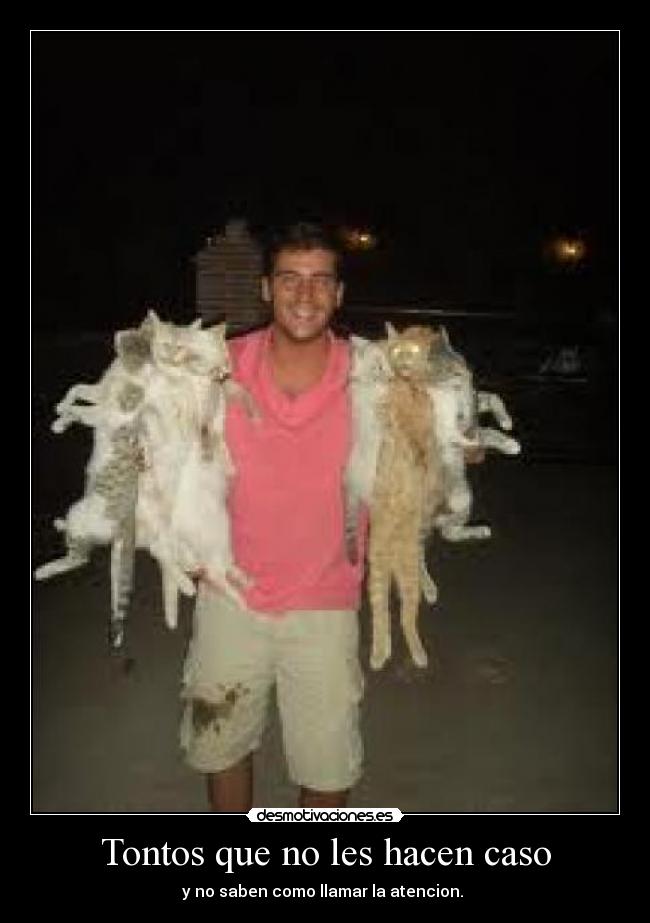 Tontos que no les hacen caso - y no saben como llamar la atencion.