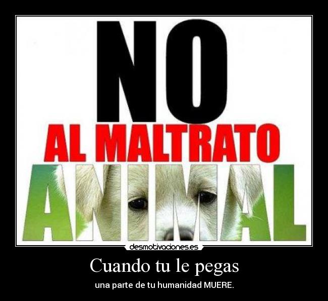 Cuando tu le pegas - 