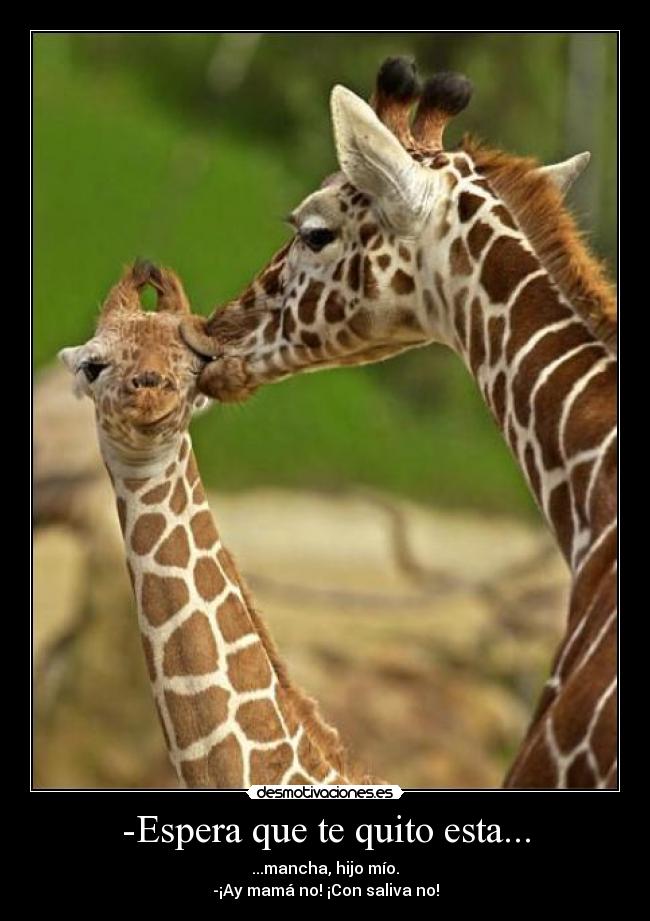 -Espera que te quito esta... -