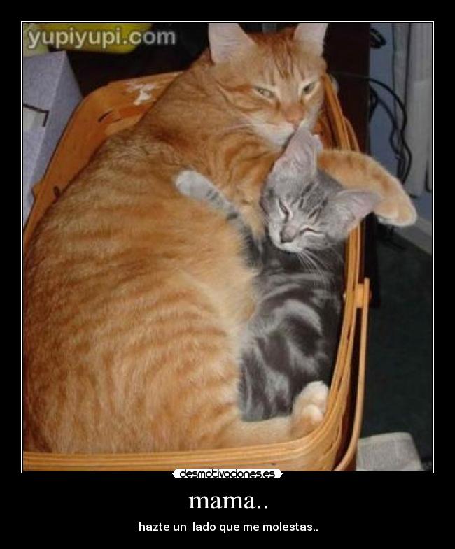 mama.. - hazte un  lado que me molestas..