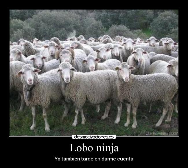 Lobo ninja - Yo tambien tarde en darme cuenta