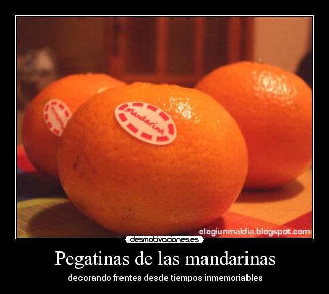 Pegatinas de las mandarinas -