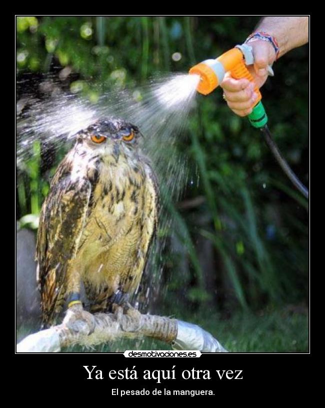 Ya está aquí otra vez - El pesado de la manguera.