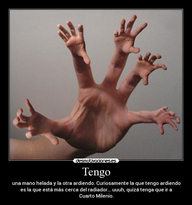 Tengo - 