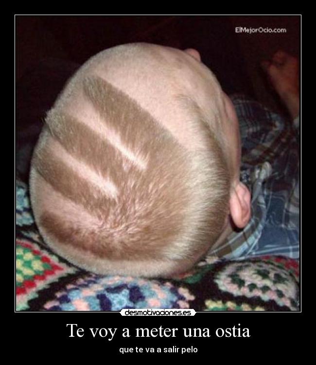 Te voy a meter una ostia -