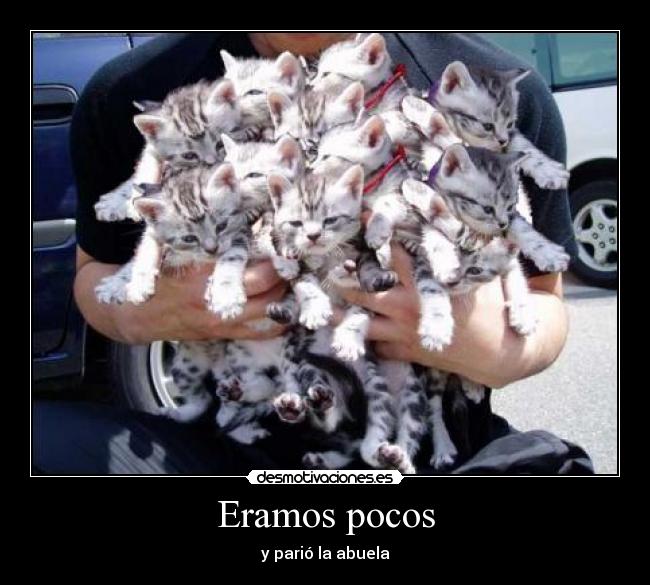 carteles raro raro desmotivaciones