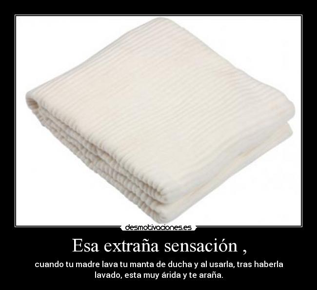 carteles manta extrana sensacion arida arana lavar madre ducha lavado desmotivaciones