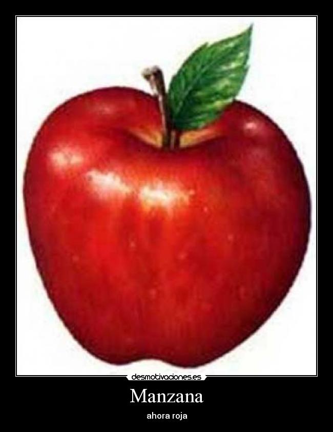 Manzana - 