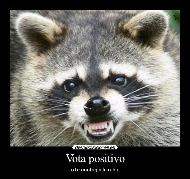 carteles vota desmotivaciones