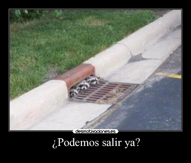 ¿Podemos salir ya? - 