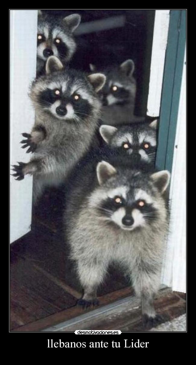 llebanos ante tu Lider -