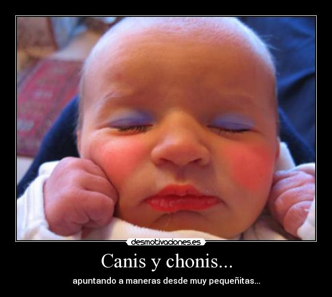 Canis y chonis... -