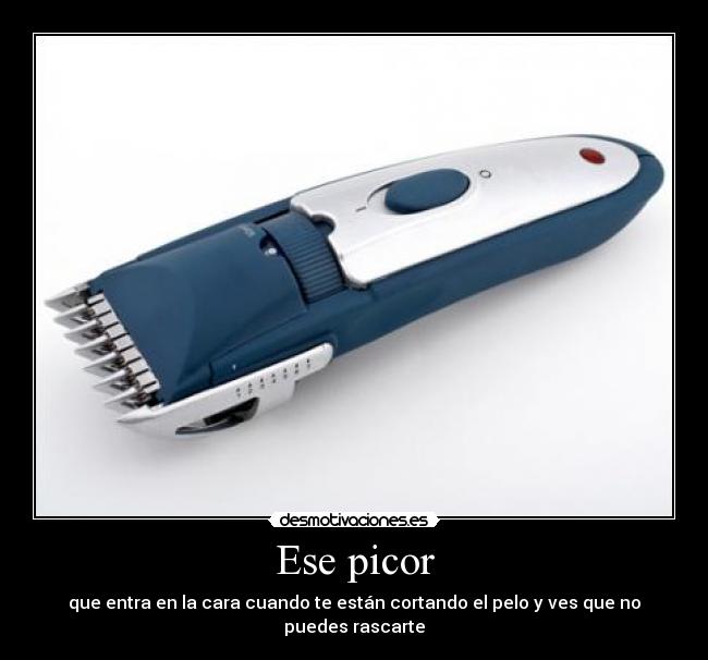 carteles ese picor desmotivaciones