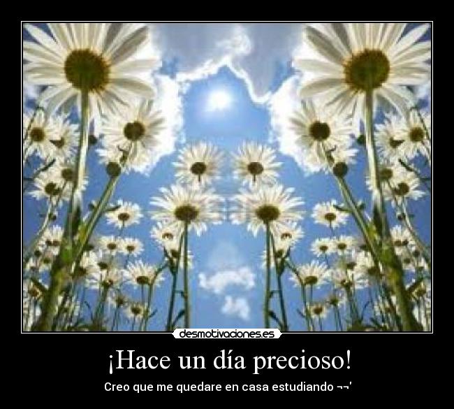 ¡Hace un día precioso! -