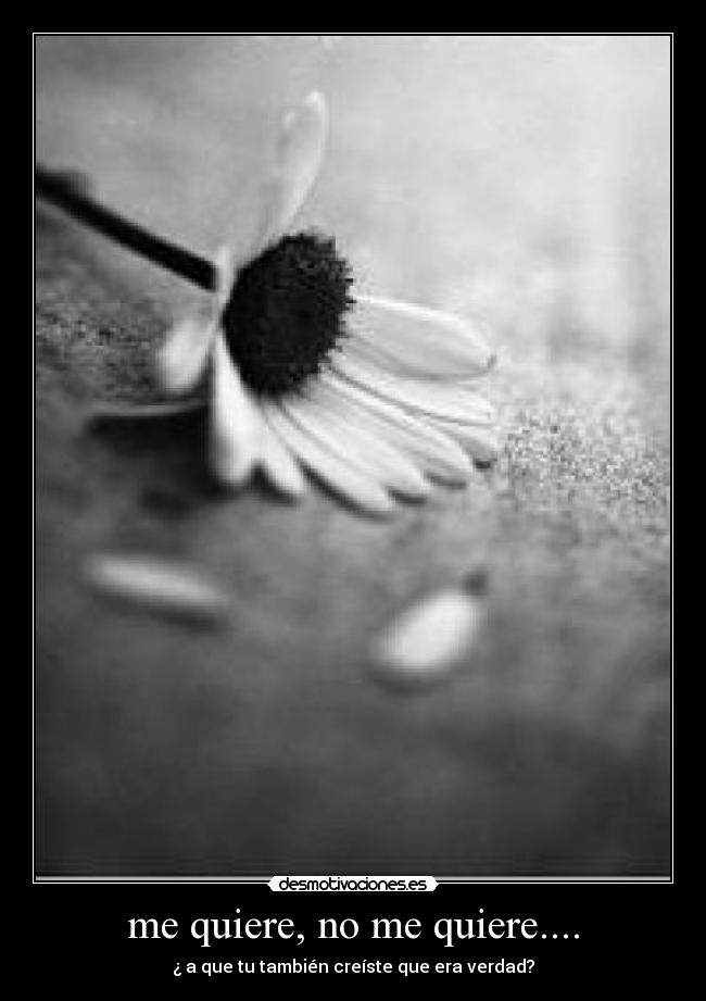 me quiere, no me quiere.... -