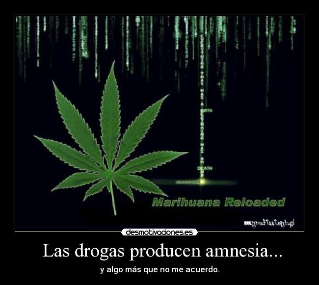 Las drogas producen amnesia... -