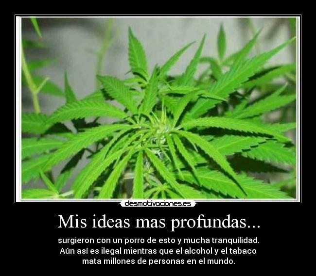 Mis ideas mas profundas... - surgieron con un porro de esto y mucha tranquilidad.
Aún así es ilegal mientras que el alcohol y el tabaco
mata millones de personas en el mundo.