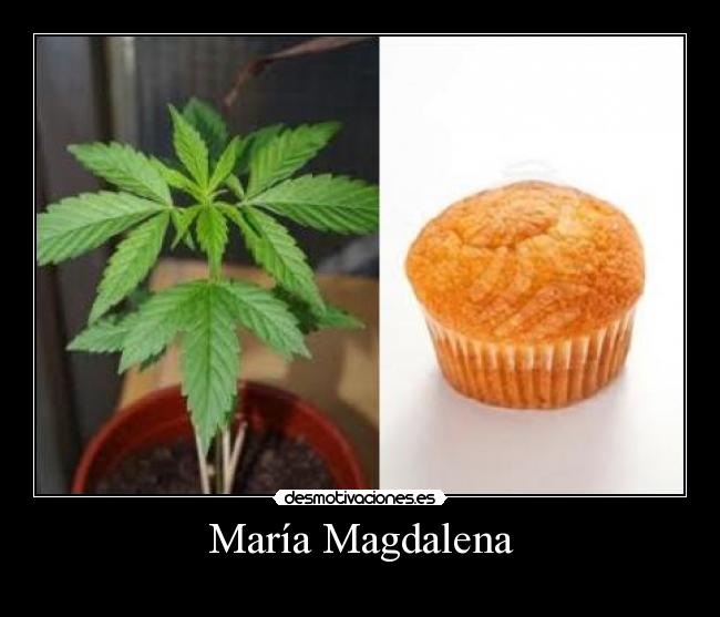 María Magdalena - 
