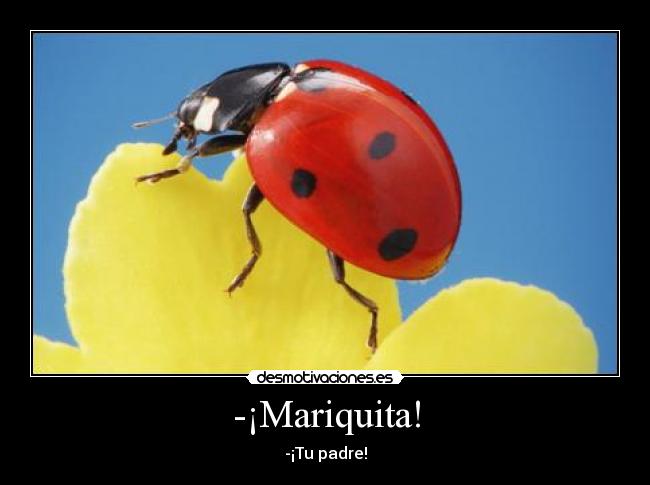 -¡Mariquita! - 