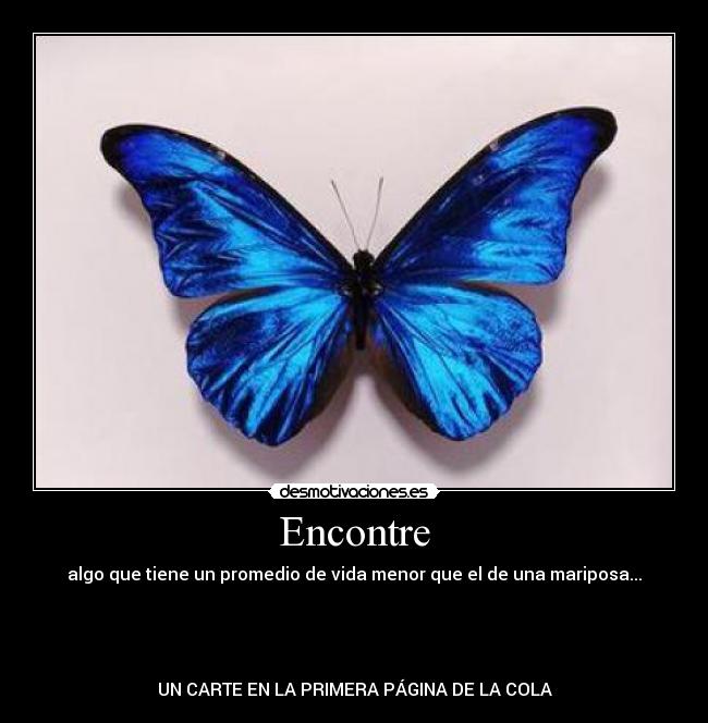 Encontre -