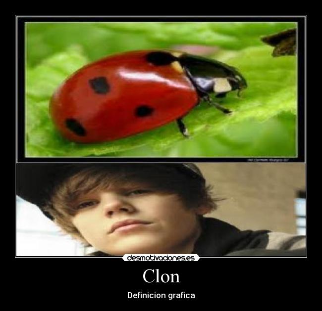 Clon -