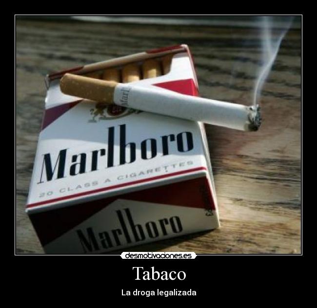 Tabaco - 