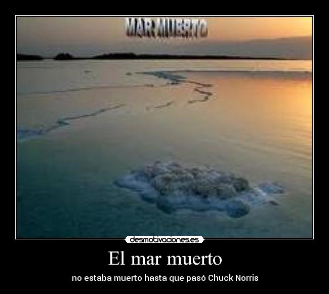 El mar muerto - no estaba muerto hasta que pasó Chuck Norris