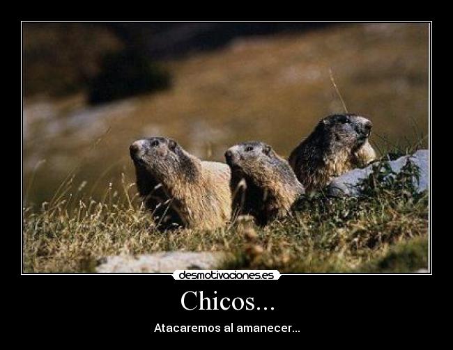 Chicos... -