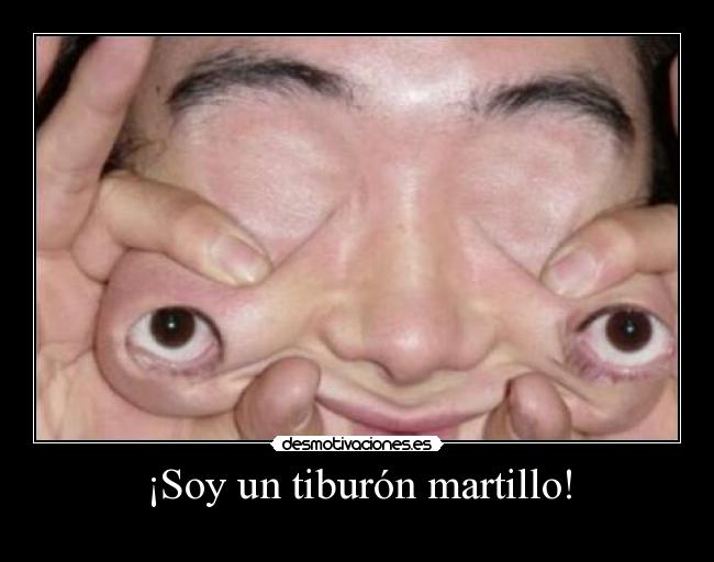 carteles soy tiburon martillo desmotivaciones