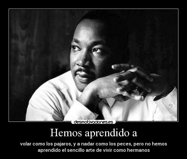 carteles martin luther king desmotivaciones