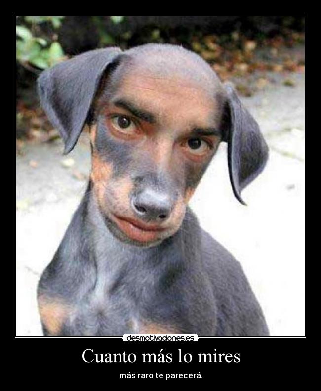 Cuanto más lo mires -