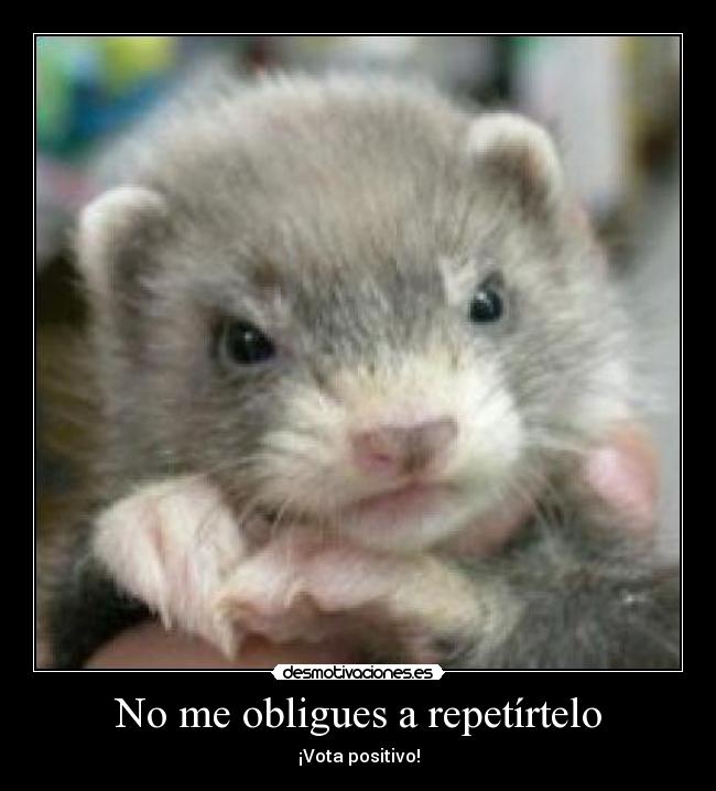 carteles obligues repetirtelo desmotivaciones