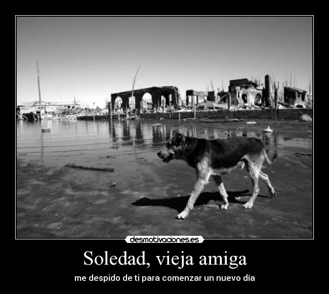 Soledad, vieja amiga -