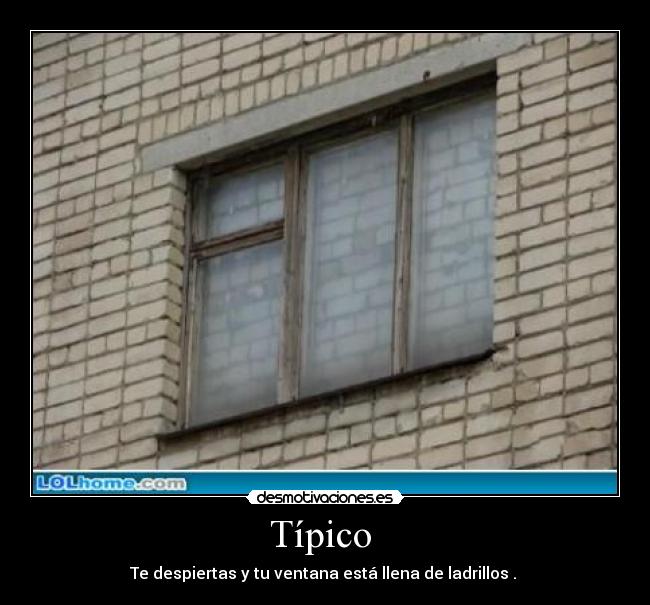 Típico - Te despiertas y tu ventana está llena de ladrillos .