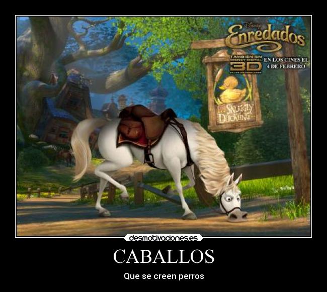 CABALLOS - Que se creen perros