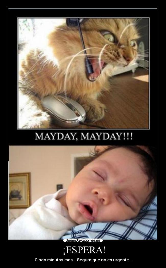 ¡ESPERA! - Cinco minutos mas... Seguro que no es urgente...