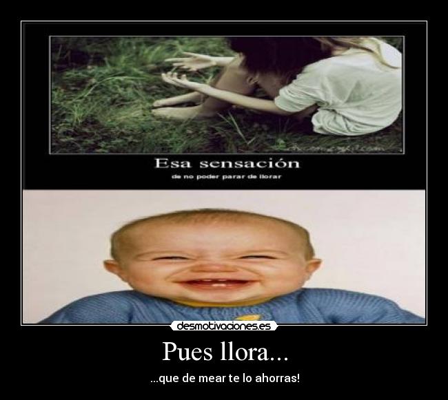 Pues llora... -