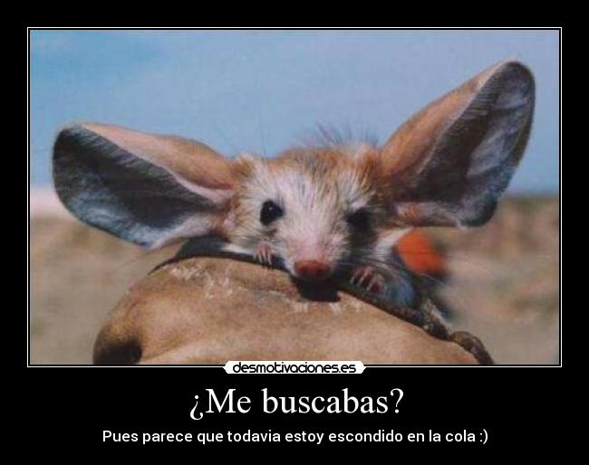 ¿Me buscabas? - Pues parece que todavia estoy escondido en la cola :)