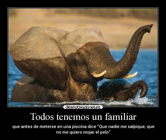 Todos tenemos un familiar - que antes de meterse en una piscina dice Que nadie me salpique, que
no me quiero mojar el pelo